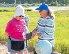 11-July-2022-Horseshoe-Crab-Walk-with-Andrea-Higgins-by-Gerry-Beetham_8