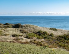 Pamet-Dunes-and-Bearberry-Hill-9-Oct-2022-by-Gerry-Beetham_6