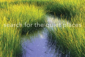 search-for-the-quiet-places